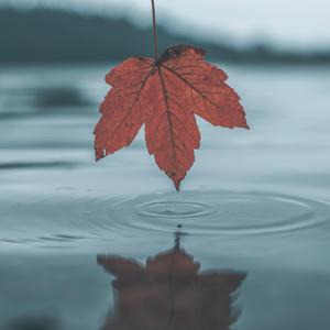 警花在办公室里给局长口交做爱视频
