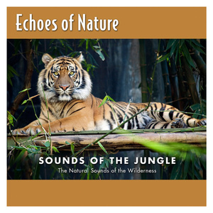 警花在办公室里给局长口交做爱视频
